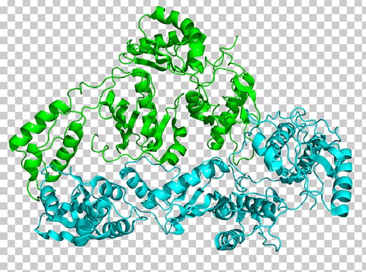 Reverse Transcriptase RNA DNA Polymerase Enzyme PNG, Clipart, Area, Circle, Complementary Dna, David Baltimore, Dna Free PNG Download