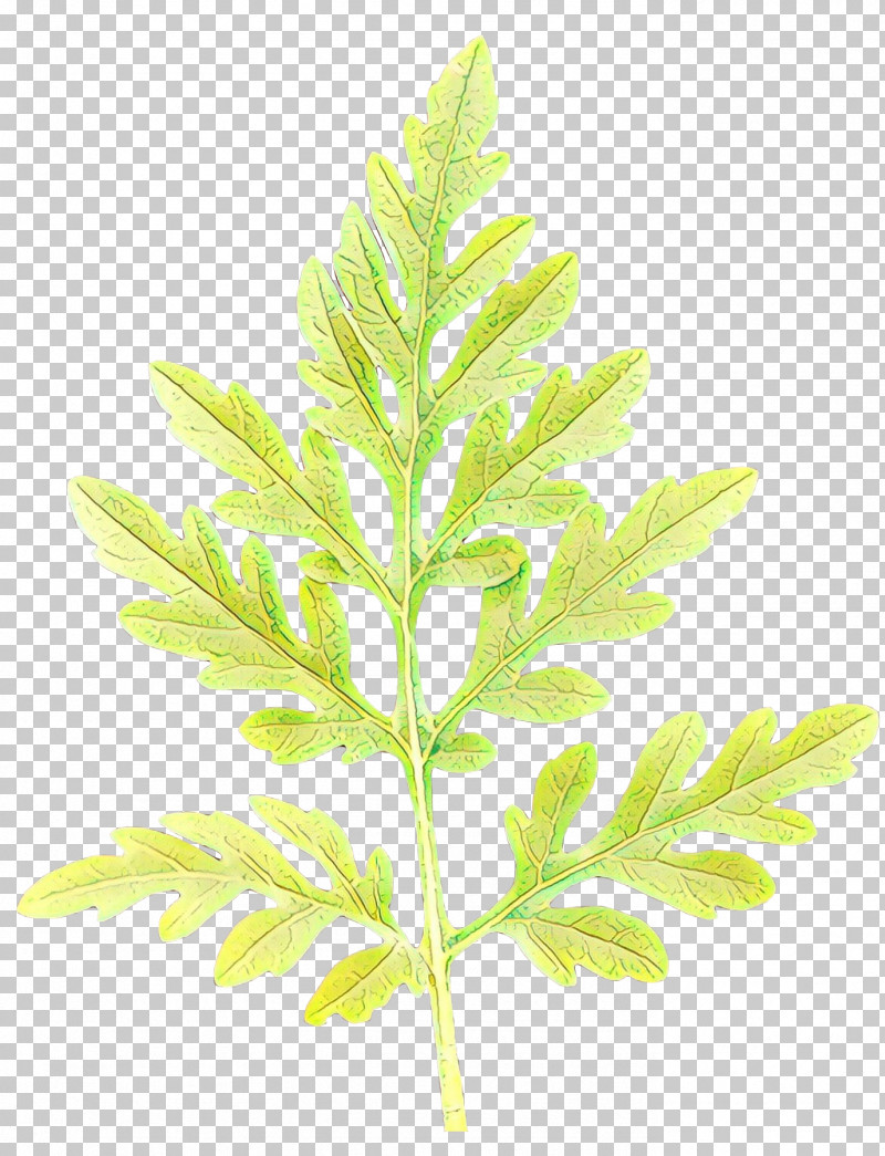 Leaf Plant Tree Flower Terrestrial Plant PNG, Clipart, Flower, Grass, Leaf, Plant, Plant Stem Free PNG Download