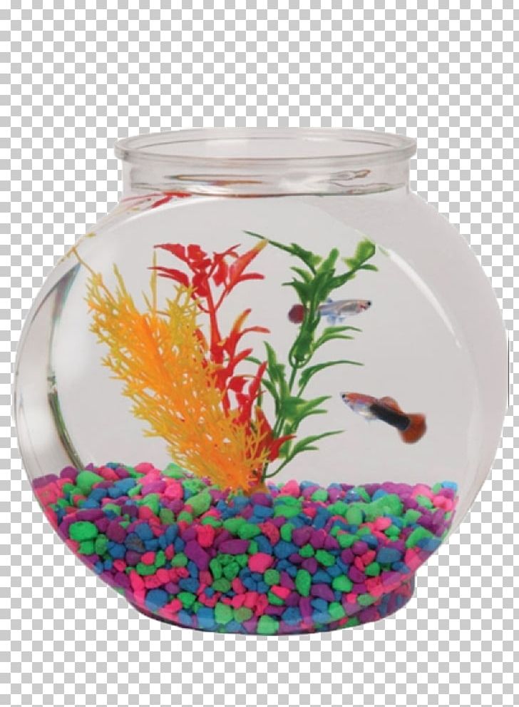 Aquarium Gallon Bowl Fish Plastic PNG, Clipart, Animals, Aquarium, Aquarium Decor, Aquariums, Betta Free PNG Download