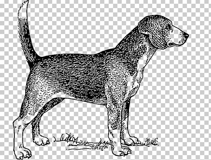 Beagle Drawing Black And White PNG, Clipart, American Foxhound, Art, Bark, Beagle, Black And White Free PNG Download