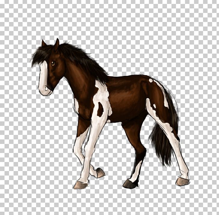 Clydesdale Horse Friesian Horse Appaloosa Stallion Schleich PNG, Clipart, Animal, Animal Figure, Appaloosa, Breed, Bridle Free PNG Download