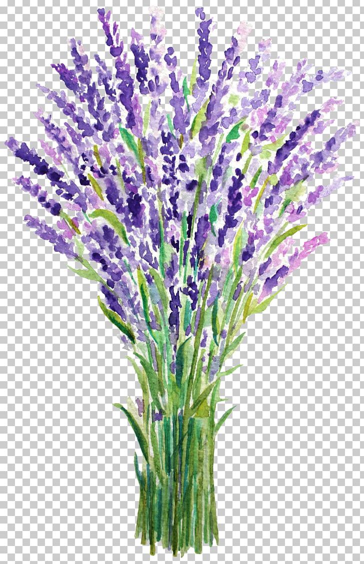 English Lavender French Lavender Watercolor Painting PNG, Clipart, Blue, Canvas, Canvas Print, Cut Flowers, Drawing Free PNG Download