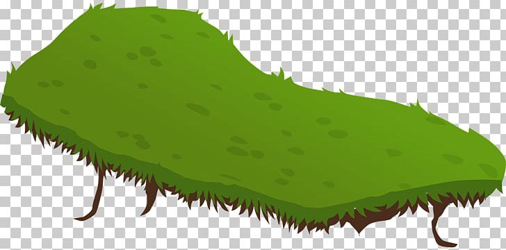 Land PNG, Clipart, Animaatio, Drawing, Grass, Grass Family, Green Free PNG Download