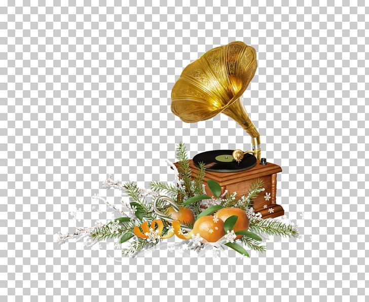 Musical Instruments Photography PNG, Clipart, Author, Gramophone, Hypertext Transfer Protocol, Music, Musical Instruments Free PNG Download