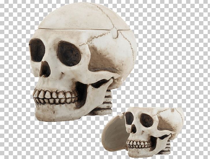 Skull Human Skeleton Ashtray Cranial Cavity PNG, Clipart, Ashtray, Bone, Bowl, Brain, Cranial Cavity Free PNG Download