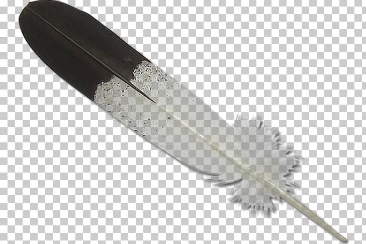 Bald Eagle Eagle Feather Law PNG, Clipart, American, Animals, Art, Bald Eagle, Clip Art Free PNG Download
