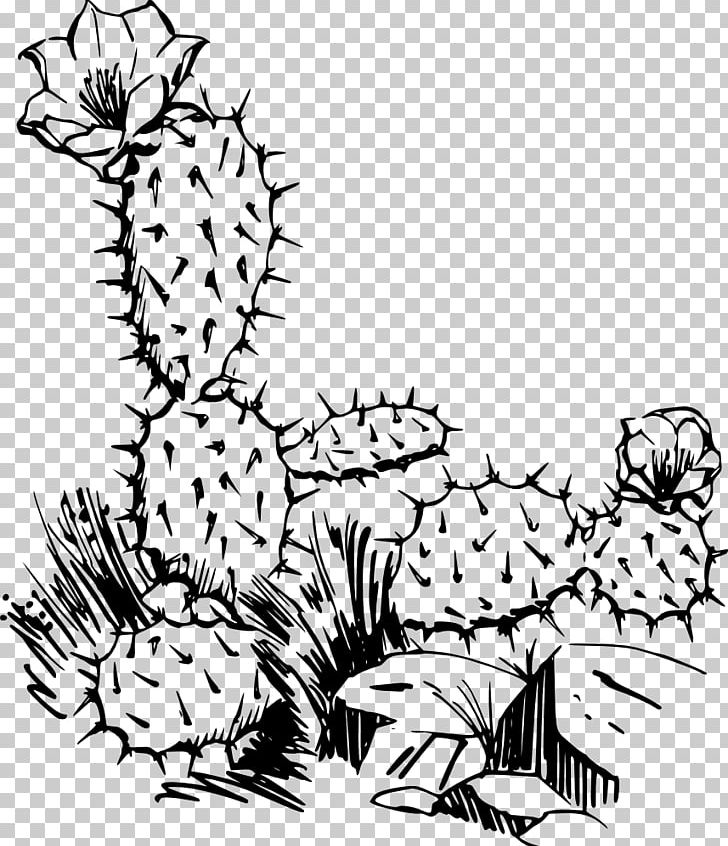 Cactaceae Saguaro Prickly Pear PNG, Clipart, Art, Artwork, Black, Black And White, Branch Free PNG Download