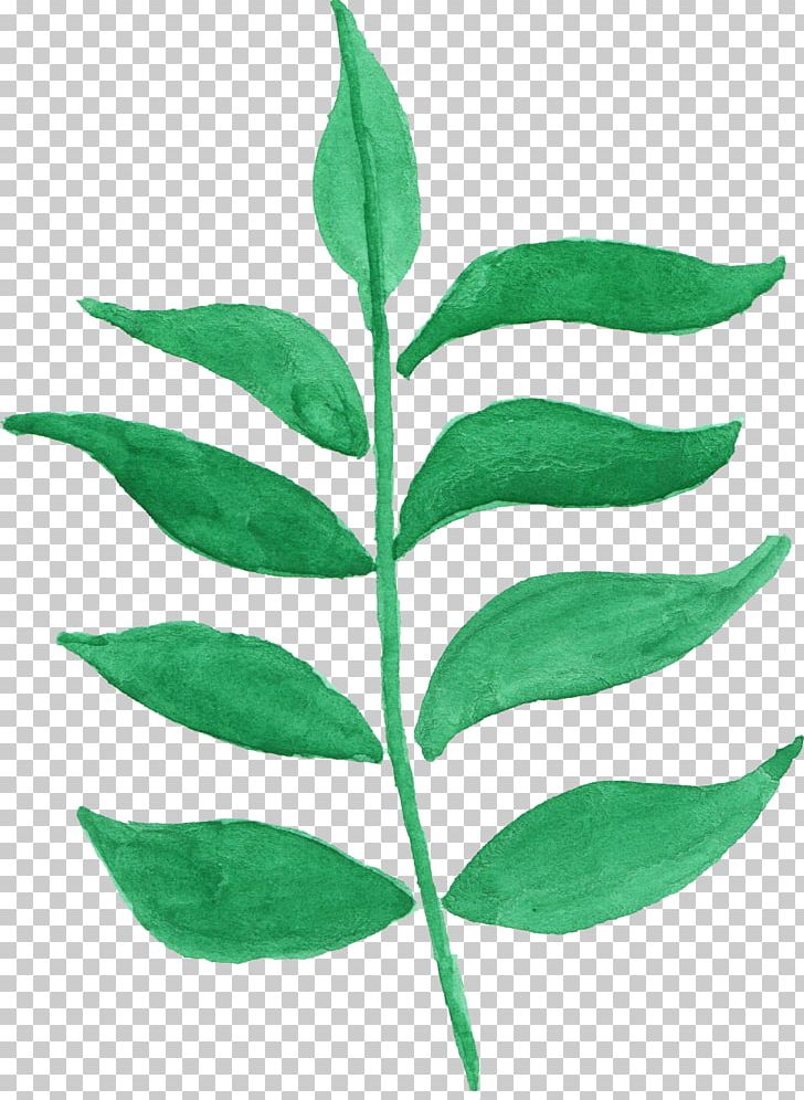 Leaf Plant Stem Watercolor Painting PNG, Clipart, Branch, Com, Download, Flower, Leaf Free PNG Download