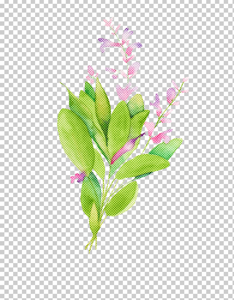 Flower Plant Aquarium Decor Leaf Branch PNG, Clipart, Aquarium Decor, Branch, Cut Flowers, Flower, Leaf Free PNG Download