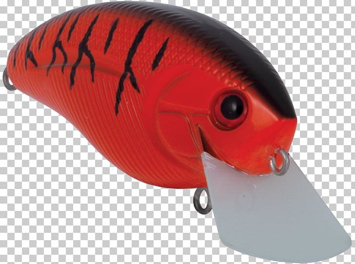 Fish AC Power Plugs And Sockets PNG, Clipart, Ac Power Plugs And Sockets, Art, Bait, Fish, Fishing Bait Free PNG Download
