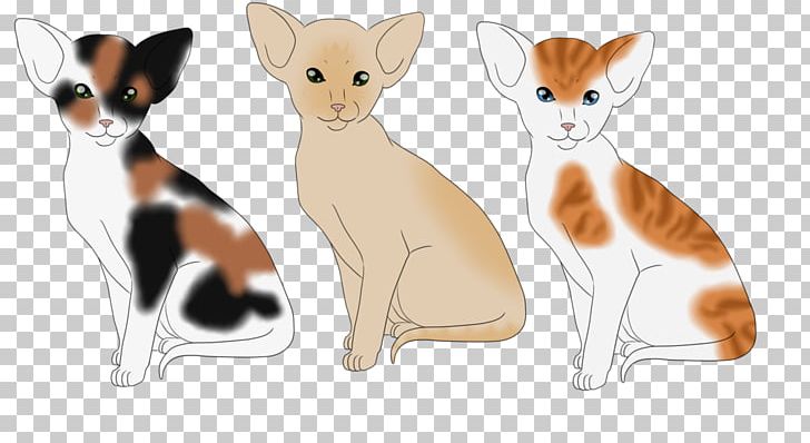 Whiskers Kitten Dog Canidae Paw PNG, Clipart, Animal, Animal Figure, Animals, Canidae, Carnivoran Free PNG Download