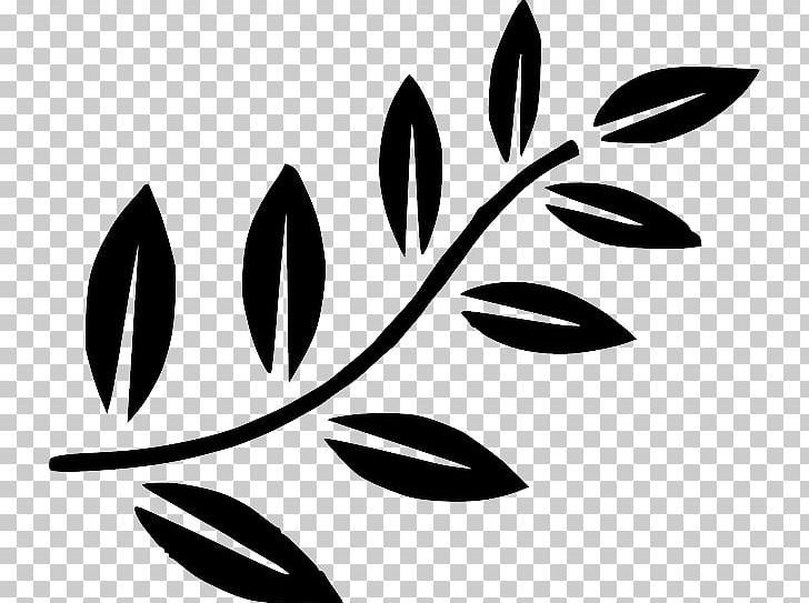 Branch Leaf Tree PNG, Clipart, Bay Laurel, Black, Black And White, Branch, Clip Art Free PNG Download