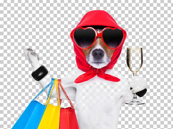 Dog Shopping Cart Stock Photography Pet Shop PNG, Clipart, Animal, Animal Material, Animals, Bag, Champagne Free PNG Download