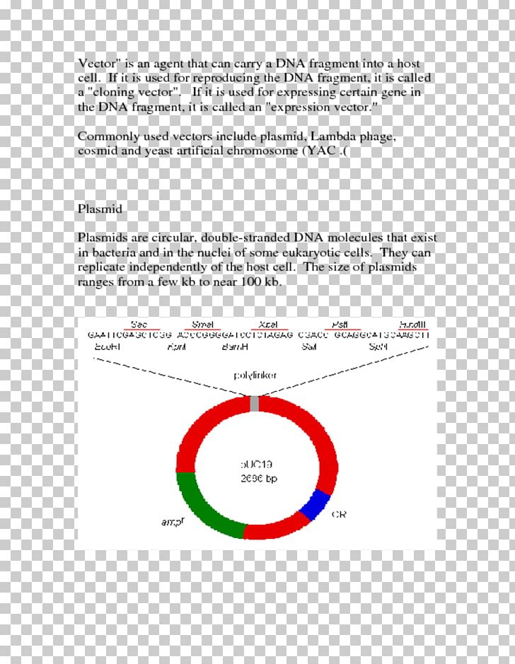 Line Angle Document Brand PNG, Clipart, Angle, Area, Art, Brand, Circle Free PNG Download