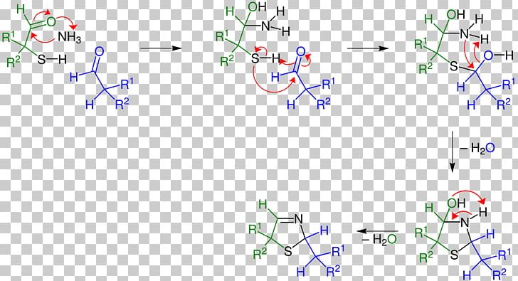Asinger Reaction Thiazoline Chemical Reaction Aldehyde Sulfur PNG, Clipart, Aldehyde, Alkylation, Angle, Area, Chemical Reaction Free PNG Download