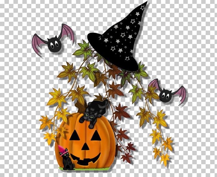 Halloween Warlock Pumpkin PNG, Clipart, Butterfly, Flower, Halloween, Halloween Ii, Haunted Attraction Free PNG Download