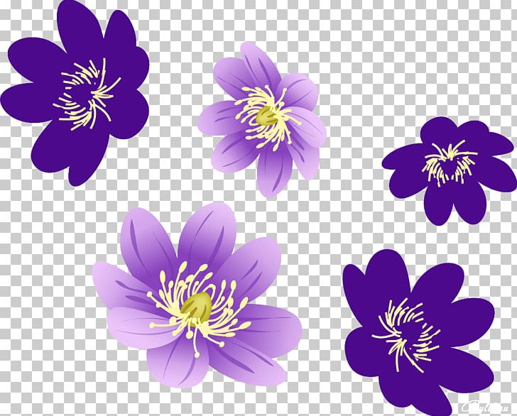 Portable Network Graphics Video Desktop Flower PNG, Clipart, 4k Resolution, 1080p, Art, Dance, Desktop Wallpaper Free PNG Download