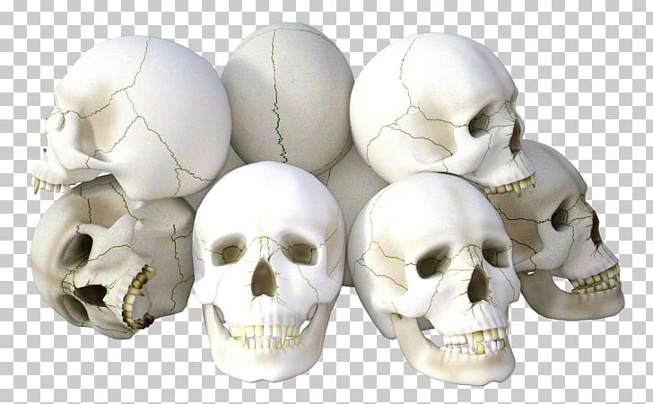 Skull Icon PNG, Clipart, Bone, Computer Icons, Digital Image, Download, Head Free PNG Download
