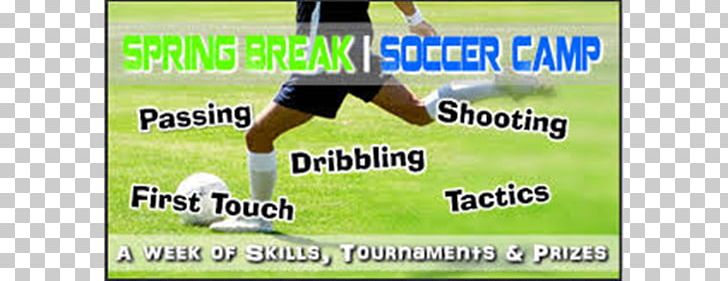 Sports Advertising Grasses Football Photograph PNG, Clipart, Advertising, Area, Ball, Brand, Championship Free PNG Download