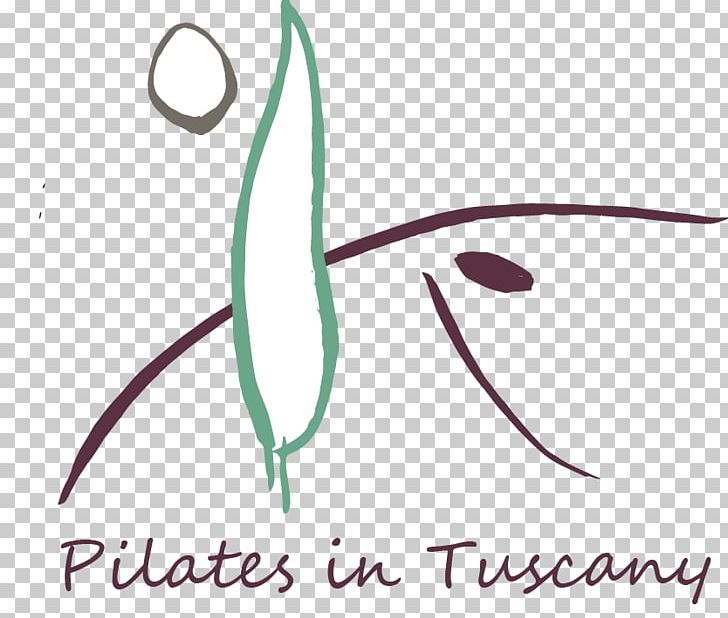 BASI Pilates Italia Pulidori Carlo Via Frascati Sport PNG, Clipart, Abano Terme, Angle, Area, Artwork, Circle Free PNG Download