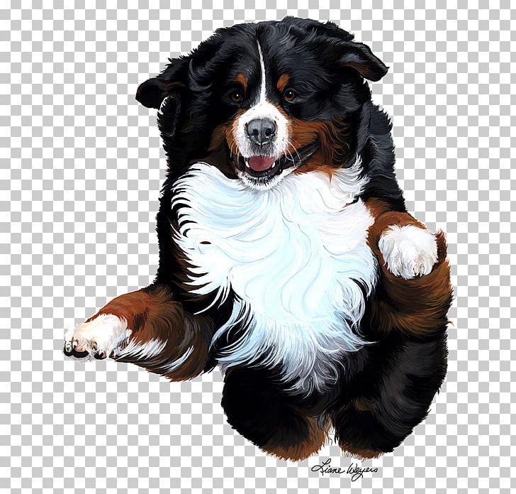 Bernese Mountain Dog Dog Breed Companion Dog Painting PNG, Clipart,  Free PNG Download