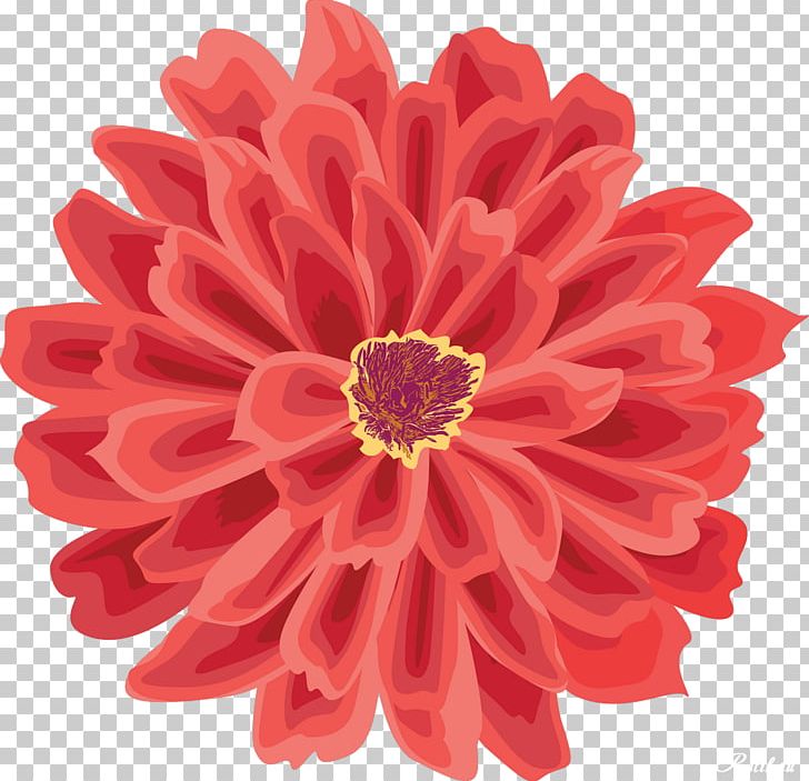 Drawing PNG, Clipart, Chrysanths, Cut Flowers, Dahlia, Daisy Family, Desktop Wallpaper Free PNG Download