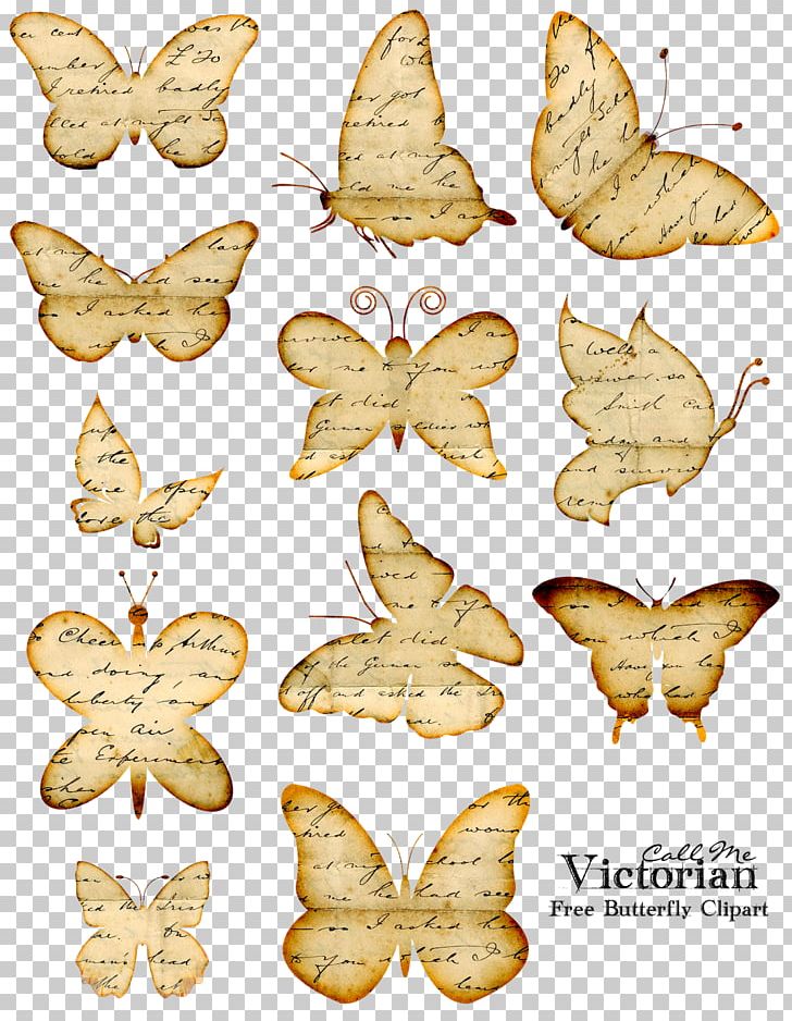 Monarch Butterfly Paper Book PNG, Clipart, Arthropod, Biological Life Cycle, Book, Brush Footed Butterfly, Butterflies And Moths Free PNG Download