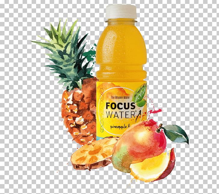 Pineapple Newrest Canonica Services Burrito Food Juice PNG, Clipart, Ananas, Burrito, Diet Food, Drink, Drinking Free PNG Download