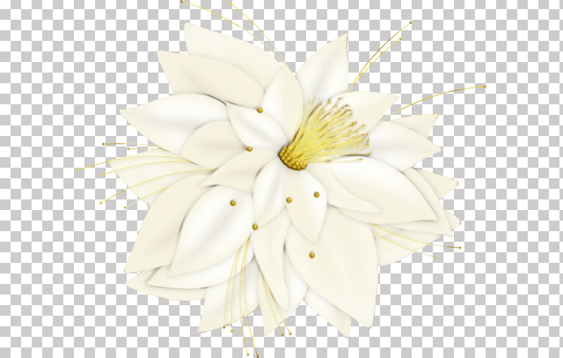 Floral Design PNG, Clipart, Biology, Cut Flowers, Flora, Floral Design, Flower Free PNG Download
