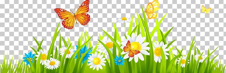 Butterfly Flower PNG, Clipart, Butterfly, Computer Wallpaper, Desktop Wallpaper, Drawing, Encapsulated Postscript Free PNG Download