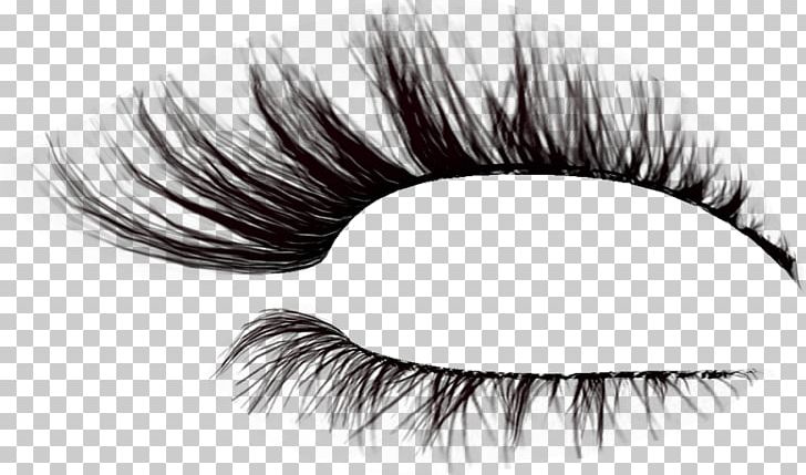 Eyelash Brush Drawing PNG, Clipart, Beauty, Black And White, Brush, Cosmetics, Drawing Free PNG Download