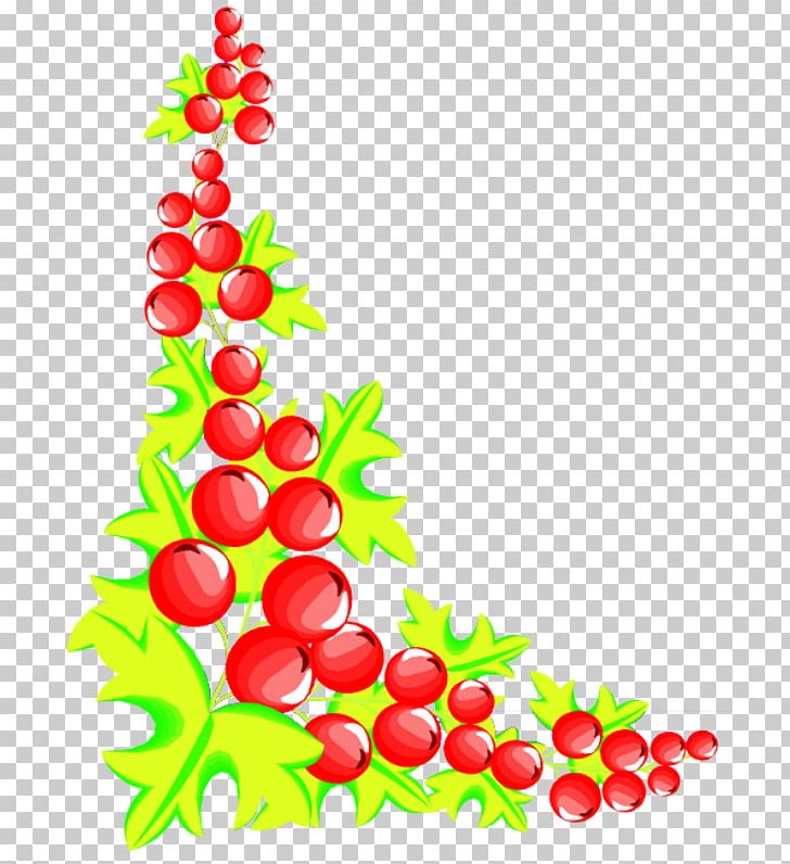 Fruit PNG, Clipart, Aquifoliaceae, Branch, Christmas Decoration, Christmas Ornament, Coreldraw Free PNG Download