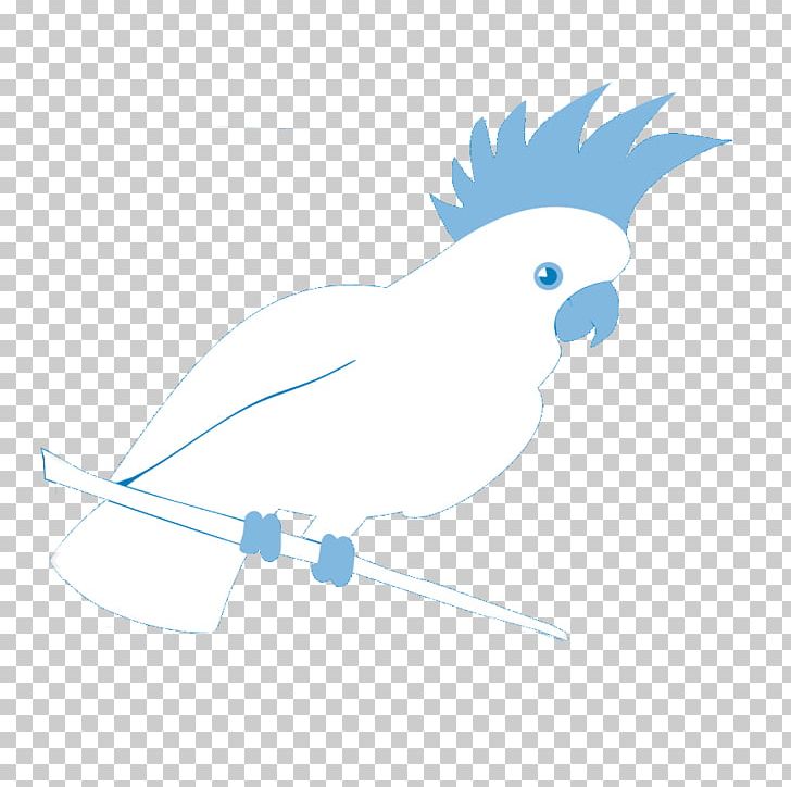 Macaw Parrot Feather Beak Wing PNG, Clipart, Animals, Beak, Bird, Cacatua, Feather Free PNG Download