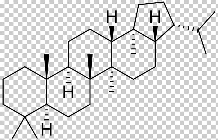 Triterpene Science Dehydroepiandrosterone Chemical Compound PNG, Clipart, Angle, Area, Black And White, Cell, Chemical Compound Free PNG Download