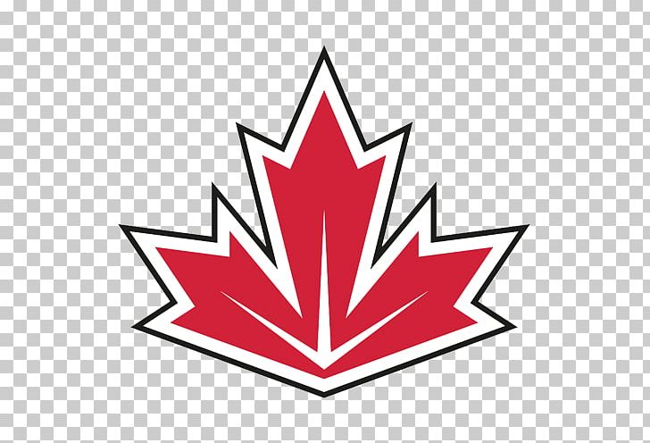 2016 World Cup Of Hockey Canada Men's National Ice Hockey Team National Hockey League Team Europe United States National Men's Hockey Team PNG, Clipart, 2016 World Cup Of Hockey, Area, Brad Marchand, Flower, Flowering Plant Free PNG Download