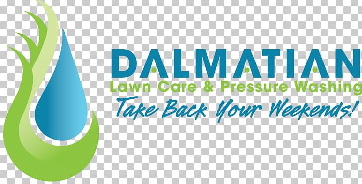 Dalmatian Dog Dalmatian Lawn Care And Pressure Washing PNG, Clipart, Brand, Business, Dalmatian, Dalmatian Dog, Dog Free PNG Download