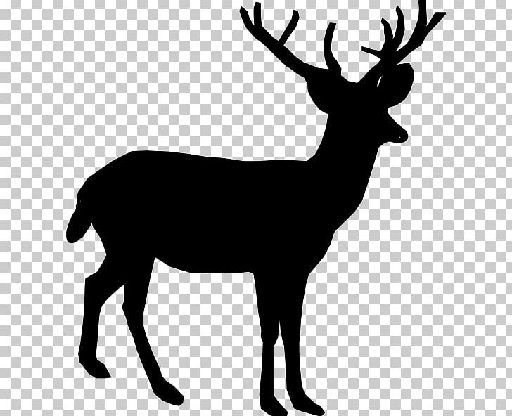 White-tailed Deer Reindeer PNG, Clipart, Animals, Antler, Art Vector, Biggame Hunting, Black And White Free PNG Download