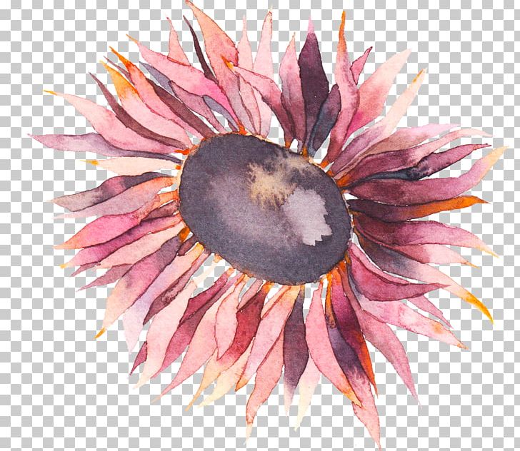 Flower Watercolor Painting Photography PNG, Clipart, Art, Common Sunflower, Computer Icons, Drawing, Flower Free PNG Download
