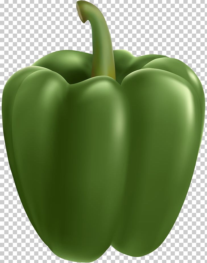 Green Bell Pepper Chili Pepper Vegetable PNG, Clipart, Apple, Bell Pepper, Bell Peppers And Chili Peppers, Capsicum, Chili Pepper Free PNG Download