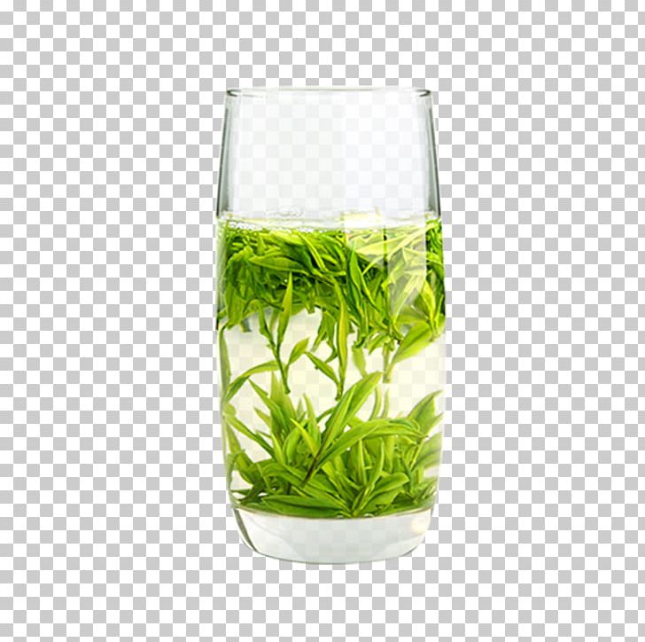 Green Tea Huangshan Maofeng Flowering Tea White Tea PNG, Clipart, Anji County, Background Green, Black Tea, Chinas Famous Teas, Compressed Tea Free PNG Download