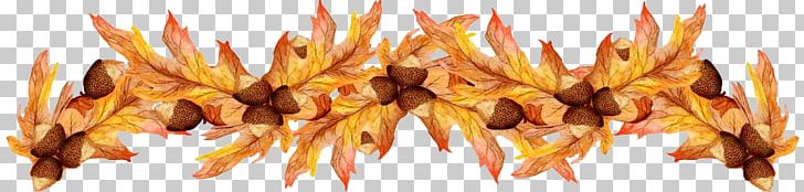 Information PNG, Clipart, Autumn, Autumn Leaf Color, Christmas, Commodity, Communication Free PNG Download