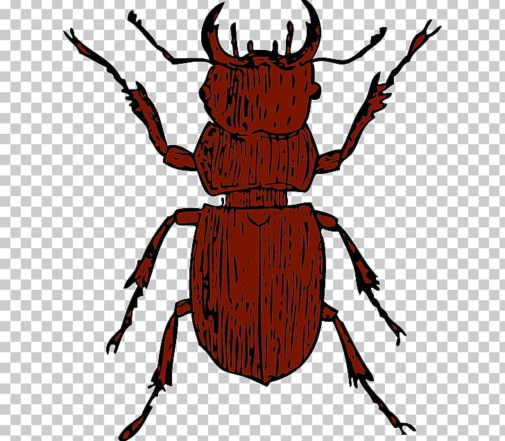 Stag Beetle PNG, Clipart, Animals, Arthropod, Artwork, Beetle, Cardinal Beetle Free PNG Download