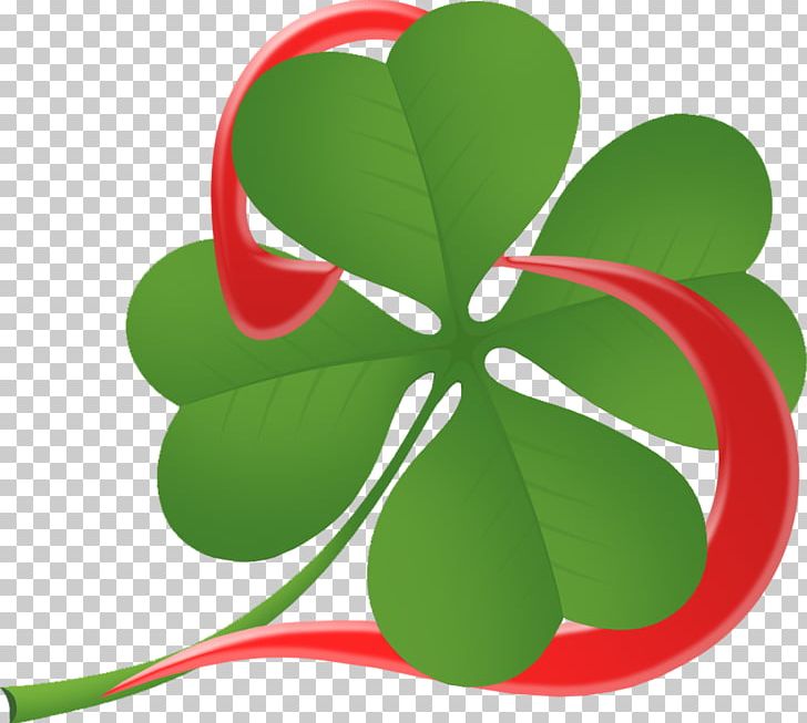 Four-leaf Clover Shamrock Quatrefoil Symbol PNG, Clipart, Clover, Flora, Flower, Flowers, Fond Blanc Free PNG Download