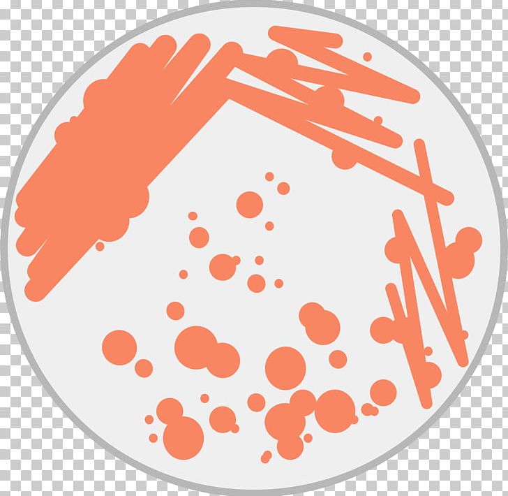 Petri Dishes Test Tubes Bacteria PNG, Clipart, Agar Plate, Area, Bacteria, Bacteriologist, Bacteriology Free PNG Download