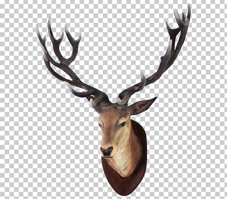White-tailed Deer Moose PNG, Clipart, Animals, Antler, Computer Icons, Deer, Elk Free PNG Download