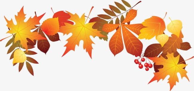 fall leaf clip art