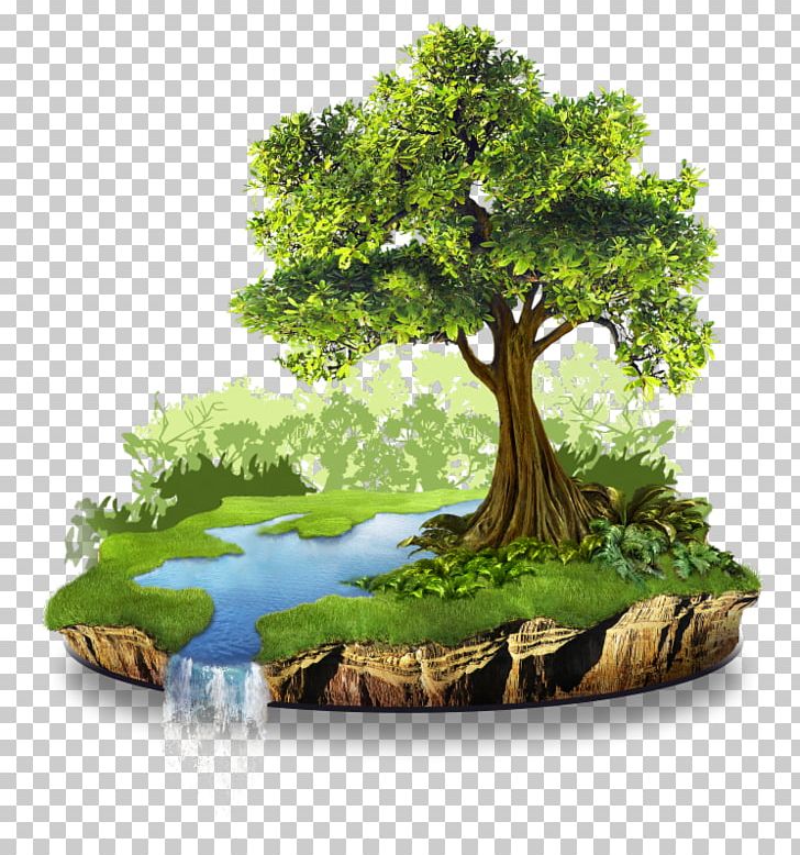 Conservation Natural Resource Natural Environment Nature PNG, Clipart, Bonsai, Energy, Energy Conservation, Environment, Environmental Protection Free PNG Download