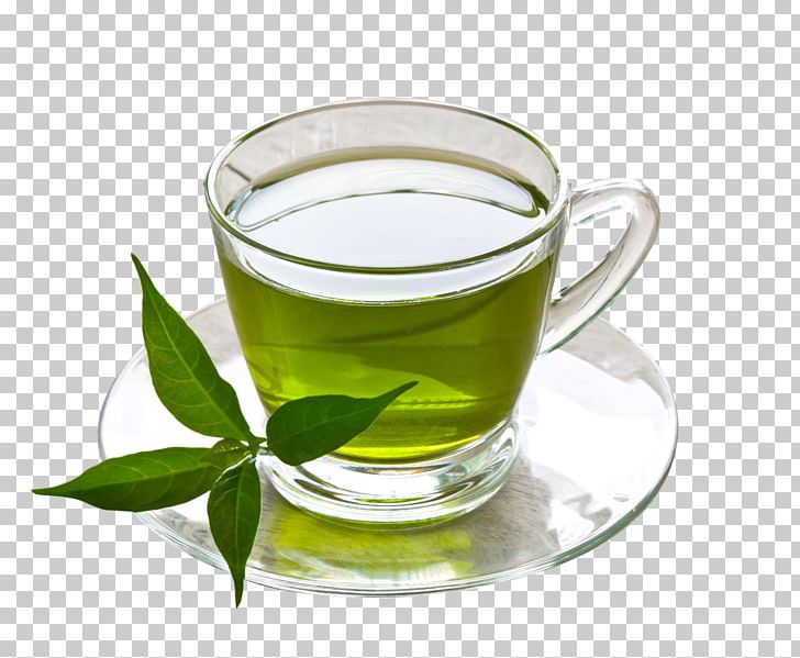 Green Tea Coffee Herbal Tea Drink PNG, Clipart, Antioxidant, Background Green, Camellia Sinensis, Coff, Coffee Bean Free PNG Download