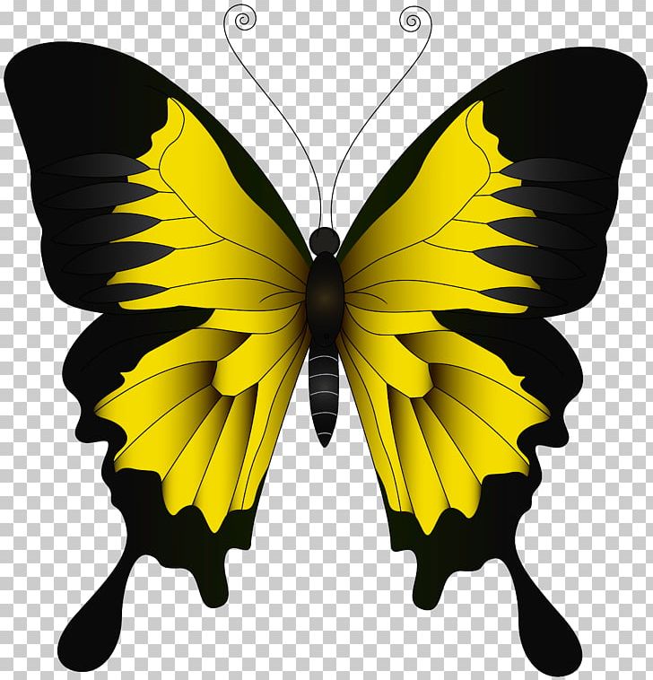 Monarch Butterfly Green Yellow PNG, Clipart, Art, Arthropod, Black And White, Brush Footed Butterfly, Butterflies Free PNG Download