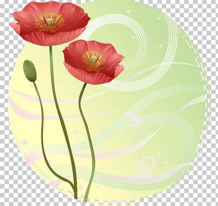 Opium Poppy Flower Png Clipart Background Vector Blume Dream